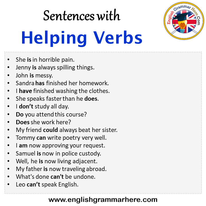 essay verb sentence