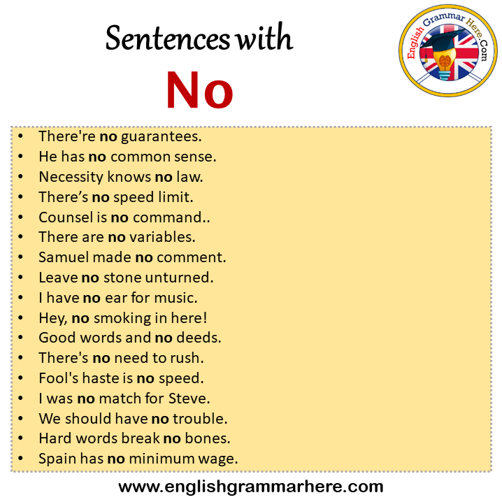 Sentences with No, No in a Sentence in English, Sentences For No