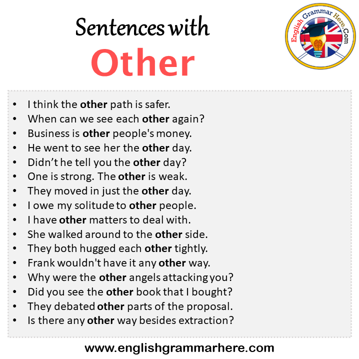 Sentences with Other, Other in a Sentence in English, Sentences For Other