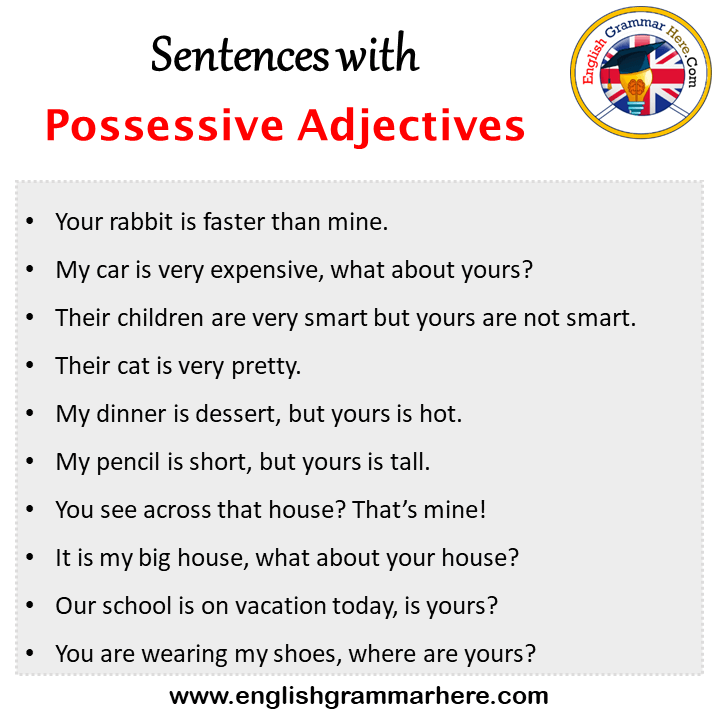 Sentences with Possessive Adjectives, Possessive Adjectives in a Sentence in English, Sentences For Possessive Adjectives