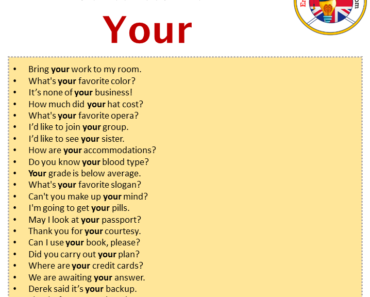 Using You In A Sentence Your in a Sentence in English Archives - English Grammar Here
