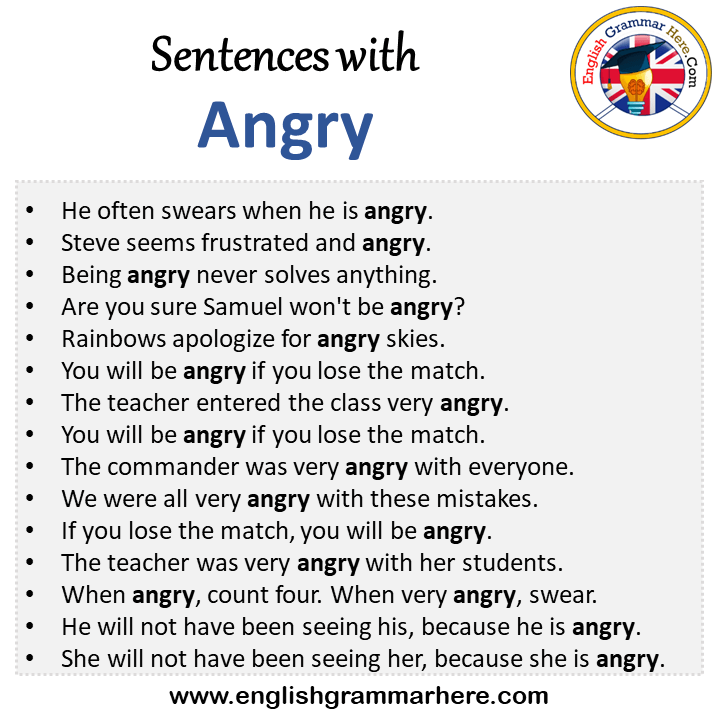 Sentences with Angry, Angry in a Sentence in English, Sentences For Angry