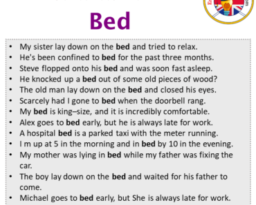 Sentences For Bed Archives - English Grammar Here