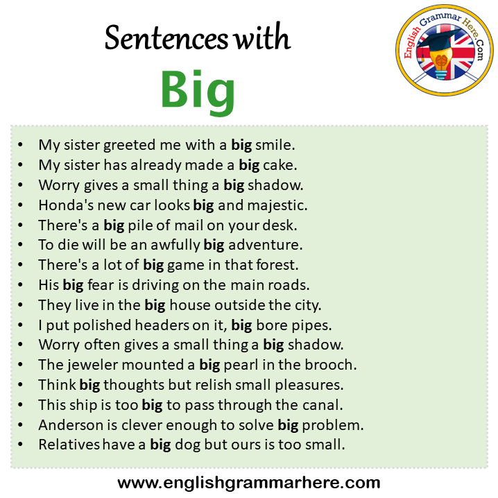 Sentences with Big, Big in a Sentence in English, Sentences For Big