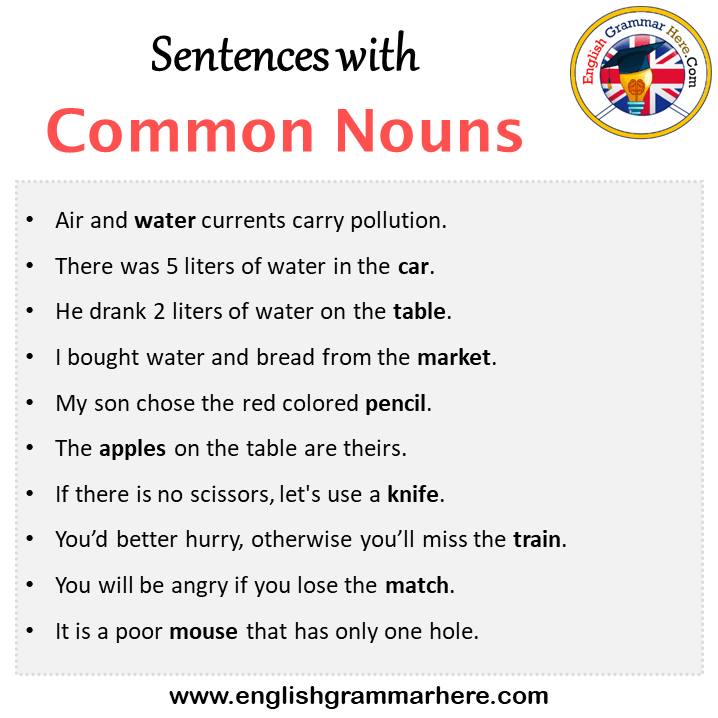 Sentences with Common Nouns, Common Nouns in a Sentence in English