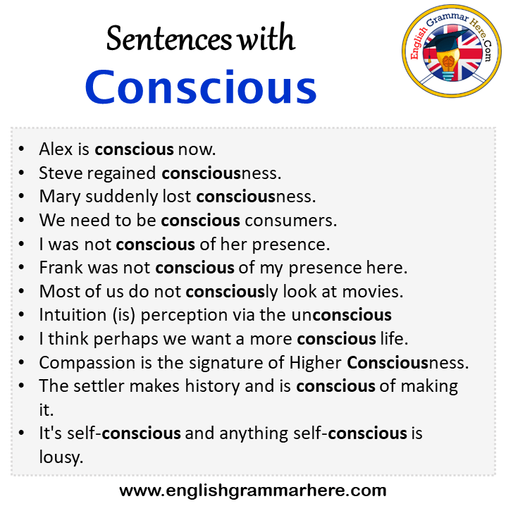 Sentences with Conscious, Conscious in a Sentence in English, Sentences For Conscious