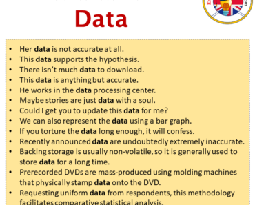 Sentences For Data Archives - English Grammar Here