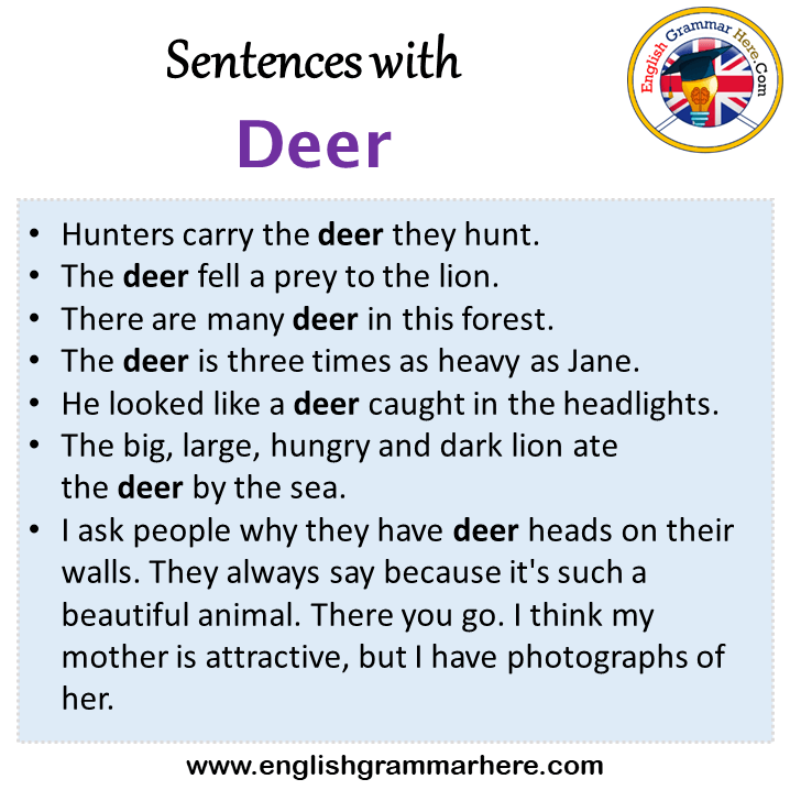 Sentences with Deer, Deer in a Sentence in English, Sentences For Deer