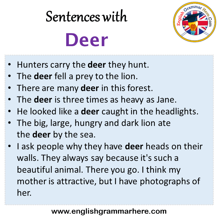 Sentences with Deer Deer in a Sentence in English Sentences For