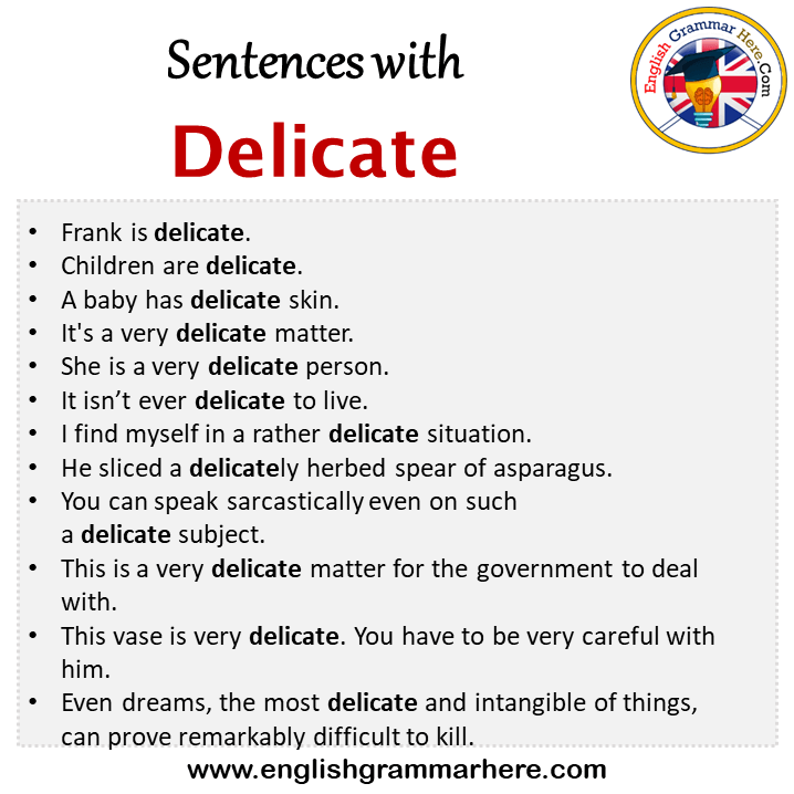 Sentences with Delicate, Delicate in a Sentence in English, Sentences For Delicate