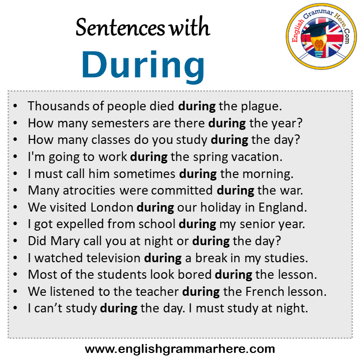 during use in sentence