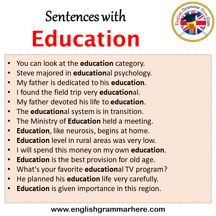 topic sentences about education system