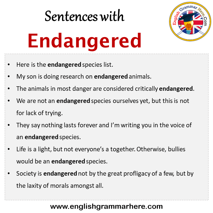 Sentences with Endangered, Endangered in a Sentence in English, Sentences For Endangered