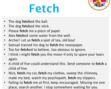Fetch in a Sentence in English Archives - English Grammar Here