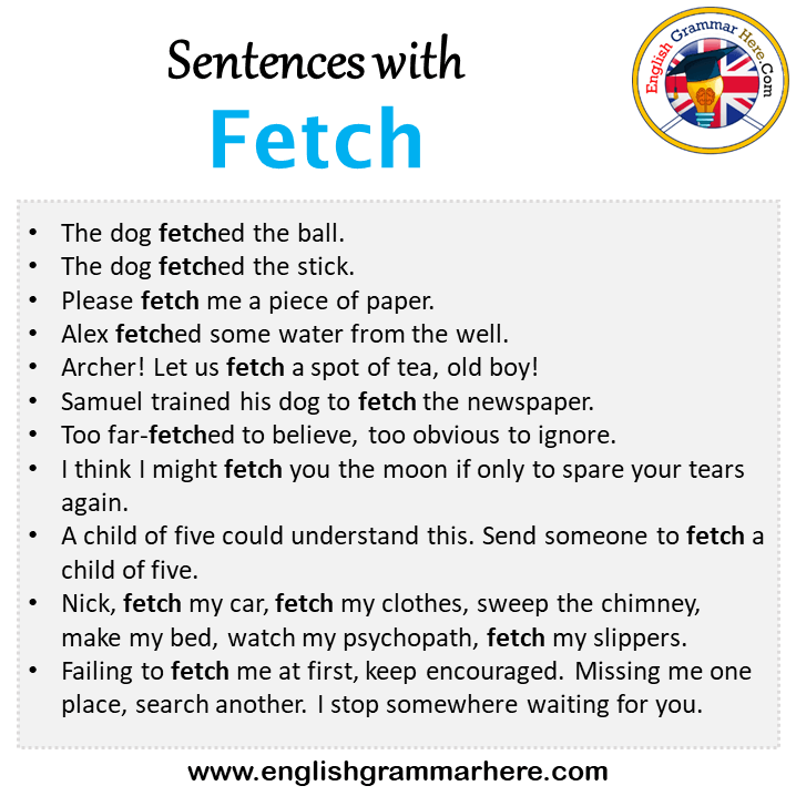 Sentences with Fetch, Fetch in a Sentence in English, Sentences For Fetch