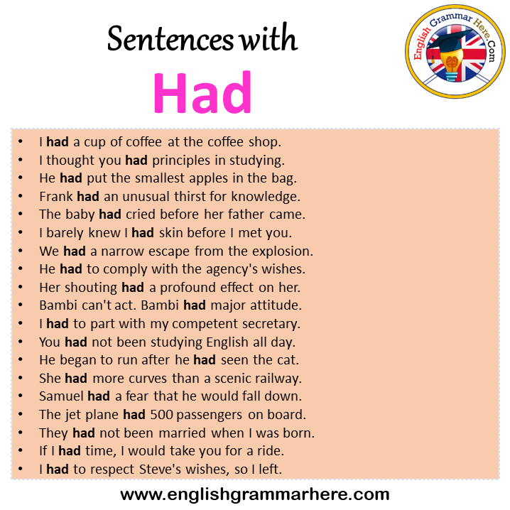 Sentences with Had, Had in a Sentence in English, Sentences For Had