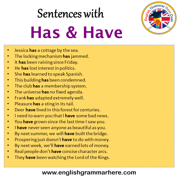 Sentences with Has and Have, Has and Have in a Sentence in English, Sentences For Has and Have