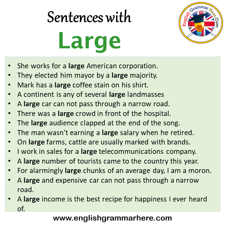 Sentences with Large, Large in a Sentence in English, Sentences For Large