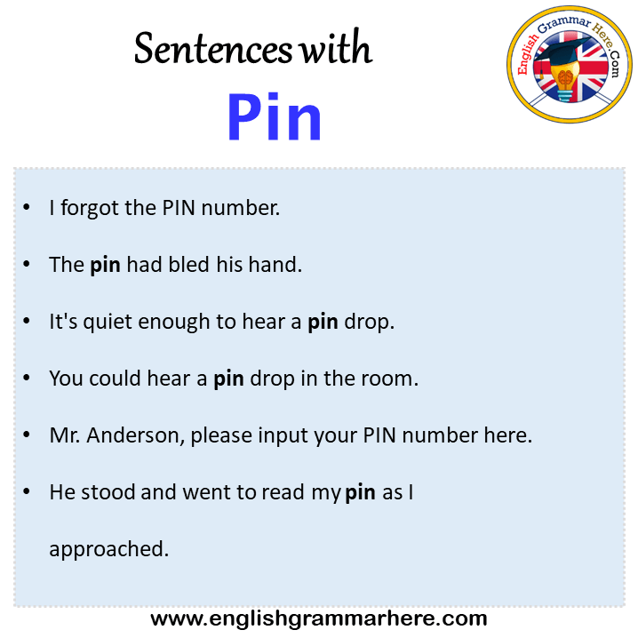 Sentences with Pin, Pin in a Sentence in English, Sentences For Pin