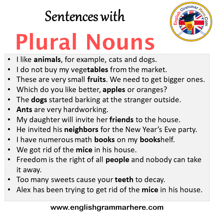 Sentences with Plural Nouns, Plural Nouns in a Sentence in English, Sentences For Plural Nouns