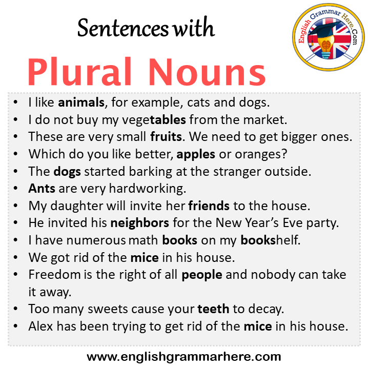 sentences-with-plural-nouns-plural-nouns-in-a-sentence-in-english