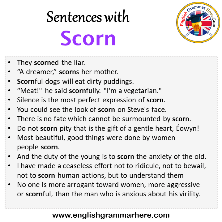 Sentences with Scorn, Scorn in a Sentence in English, Sentences For Scorn