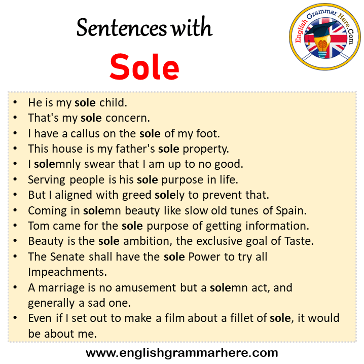 Sentences with Sole, Sole in a Sentence in English, Sentences For Sole