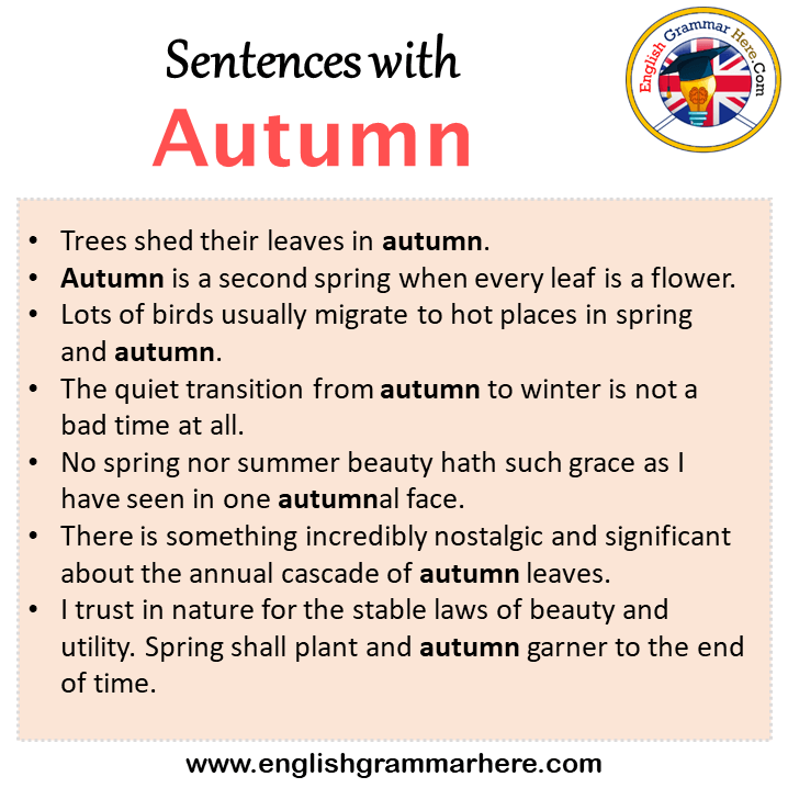 Sentences with Autumn, Autumn in a Sentence in English, Sentences For Autumn