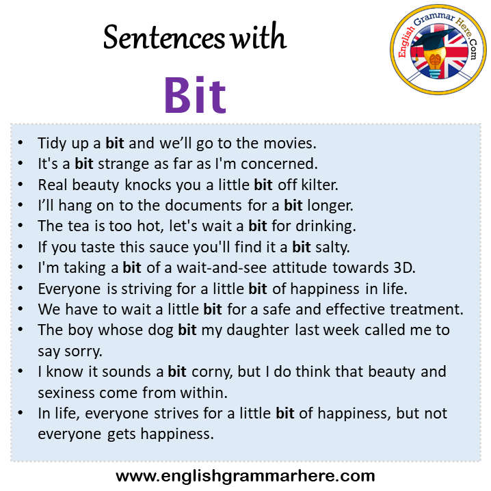Sentences with Bit, Bit in a Sentence in English, Sentences For Bit