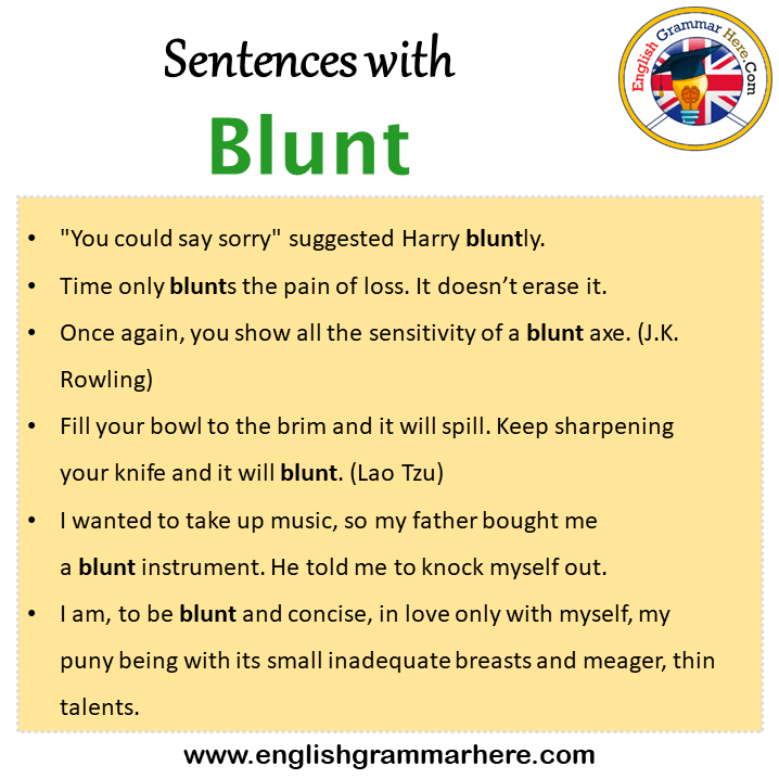 Sentences with Blunt, Blunt in a Sentence in English, Sentences For Blunt