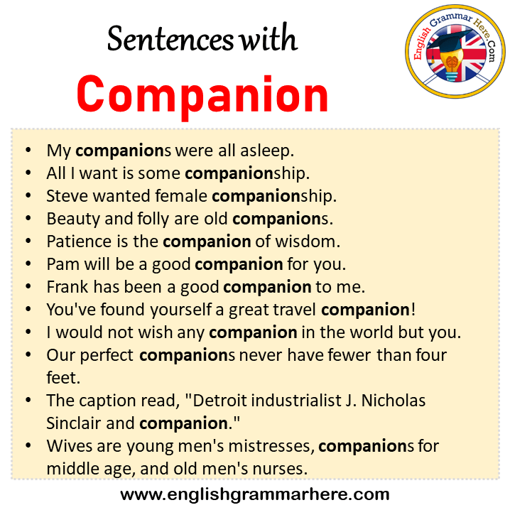 Sentences with Companion, Companion in a Sentence in English, Sentences For Companion