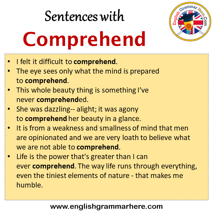 Sentences with Comprehend, Comprehend in a Sentence in English, Sentences For Comprehend