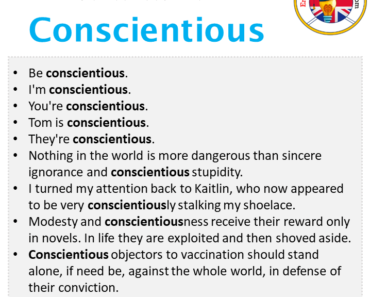 Conscientious in a Sentence in English Archives - English Grammar Here