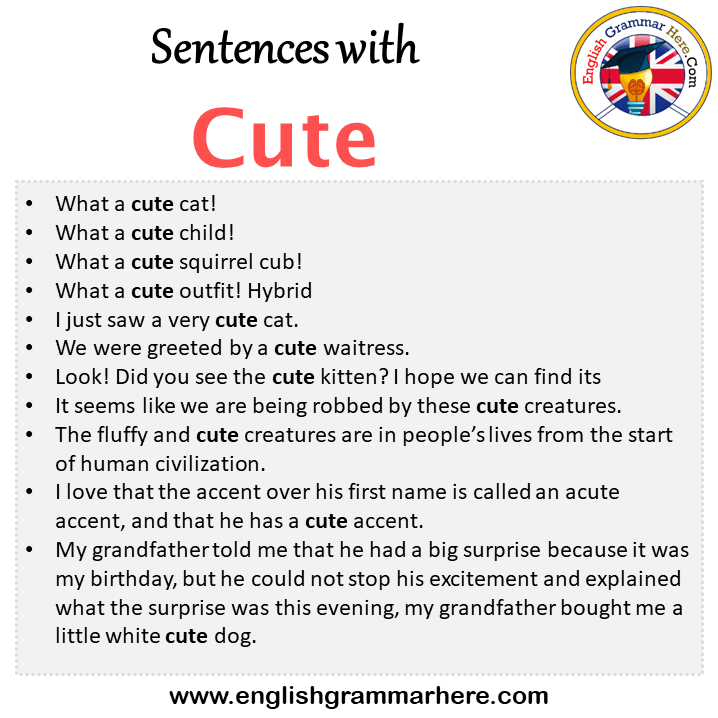 Sentences with Cute, Cute in a Sentence in English, Sentences For Cute