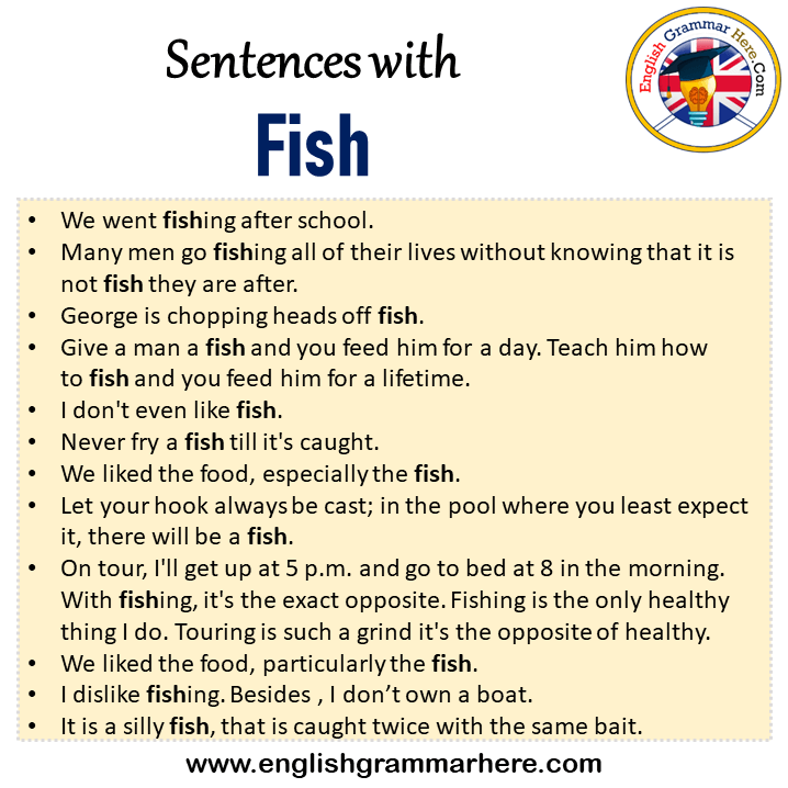 Sentences with Fish, Fish in a Sentence in English, Sentences For Fish