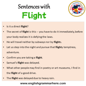 Sentences with Flight, Flight in a Sentence in English, Sentences For ...