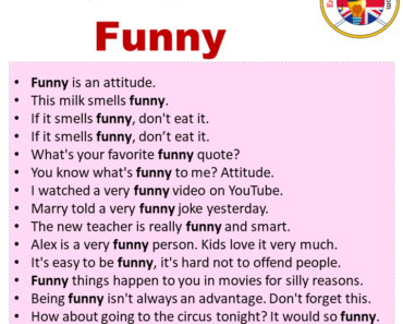 Sentences For Funny Archives - English Grammar Here