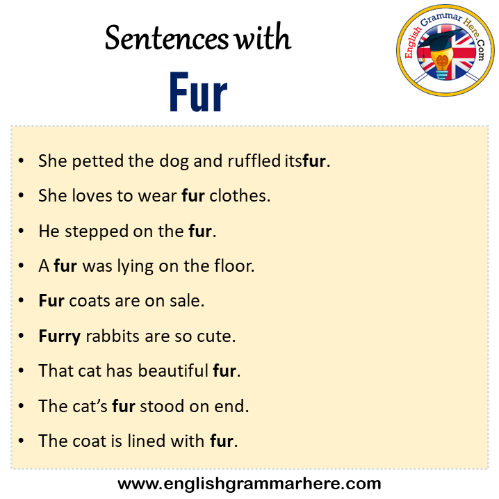 Sentences with Fur, Fur in a Sentence in English, Sentences For Fur