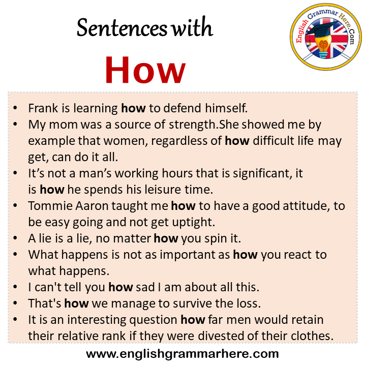 Sentences with How, How in a Sentence in English, Sentences For How