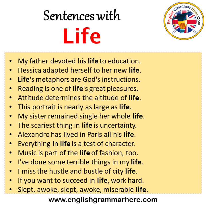 Sentences with Life, Life in a Sentence in English, Sentences For Life