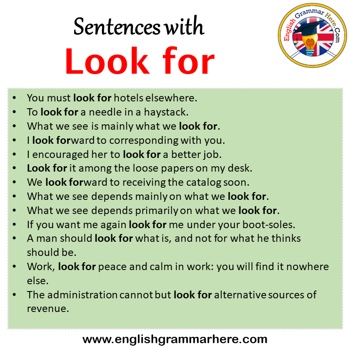 sentences-with-look-for-look-for-in-a-sentence-in-english-sentences