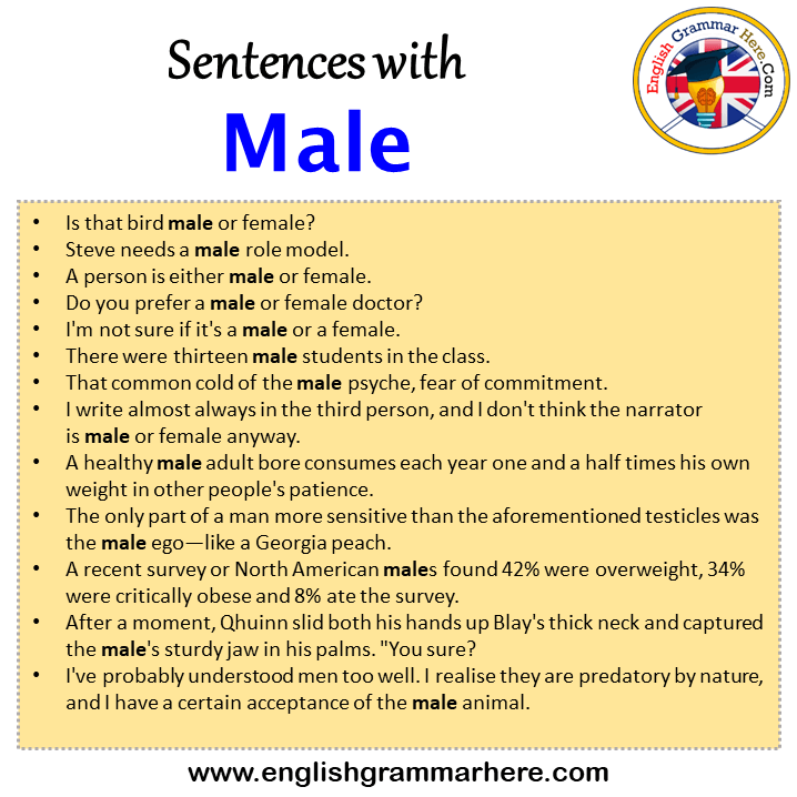 sentences-with-male-male-in-a-sentence-in-english-sentences-for-male