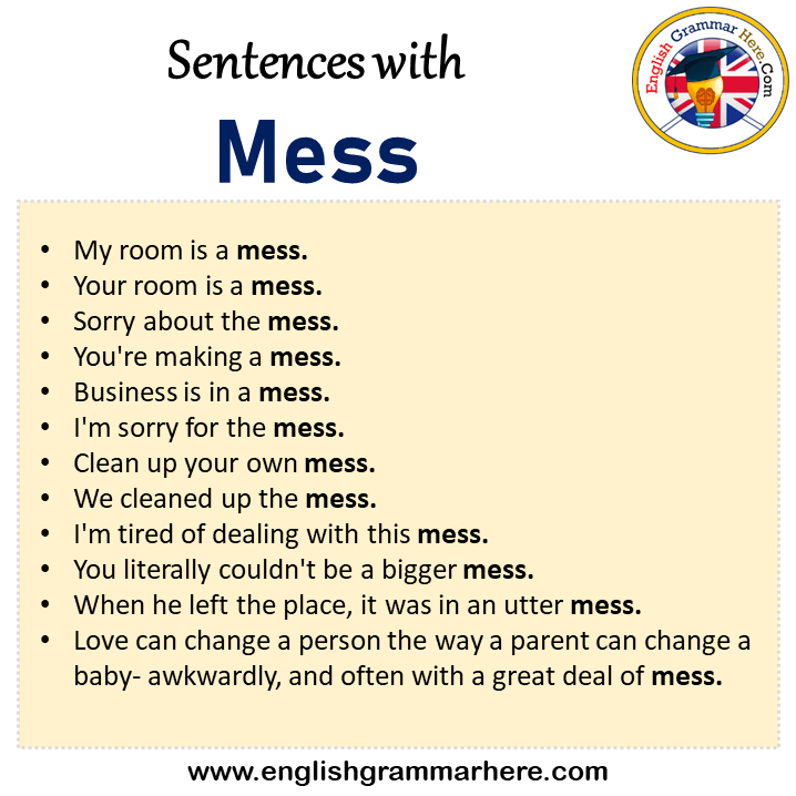 Sentences with Mess, Mess in a Sentence in English, Sentences For Mess