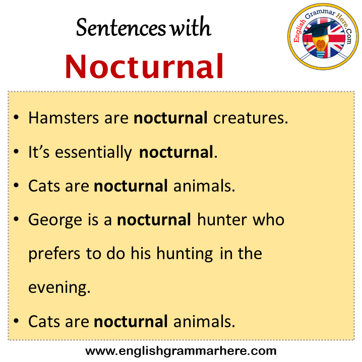 Sentences with Nocturnal, Nocturnal in a Sentence in English, Sentences For Nocturnal