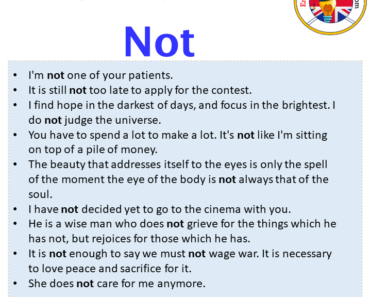 NOT MEANING IN ENGLISH GRAMMAR visual data 3