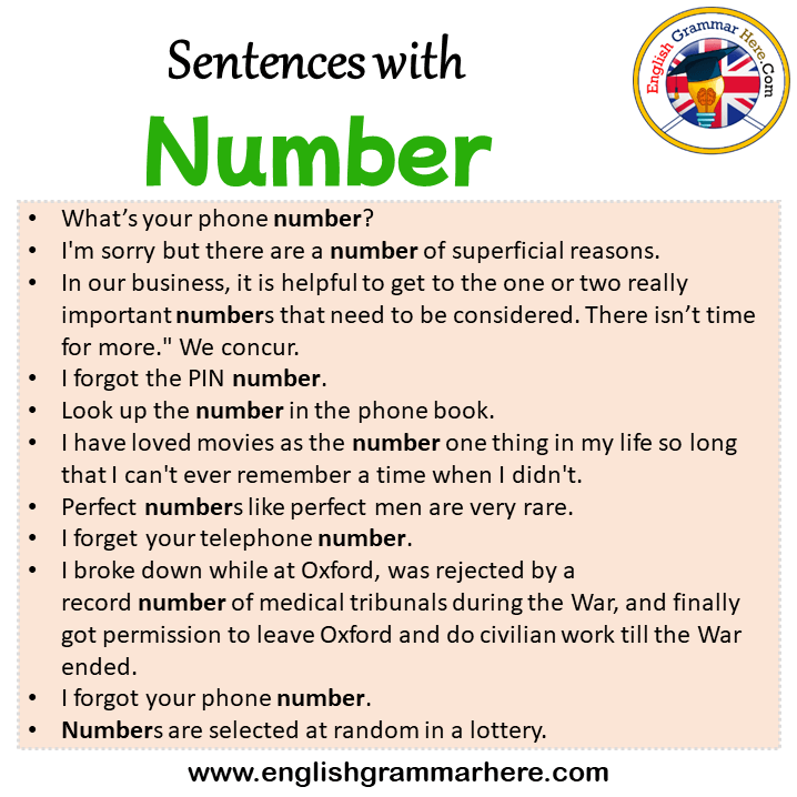 Sentences with Number, Number in a Sentence in English, Sentences For Number
