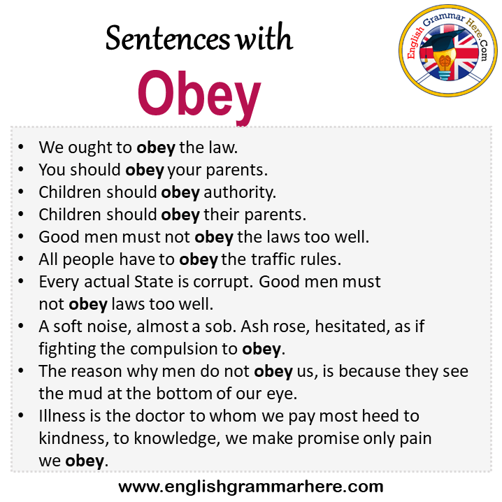 Sentences with Obey, Obey in a Sentence in English, Sentences For Obey