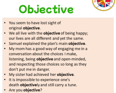 Is This Sentence Objective Yves Needs Your Help - xkdddds