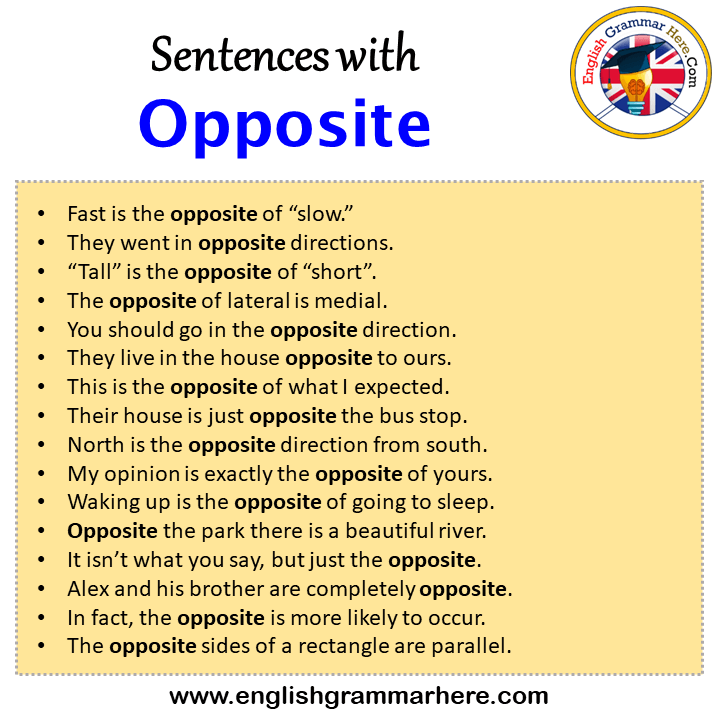 Sentences with Opposite, Opposite in a Sentence in English, Sentences For Opposite