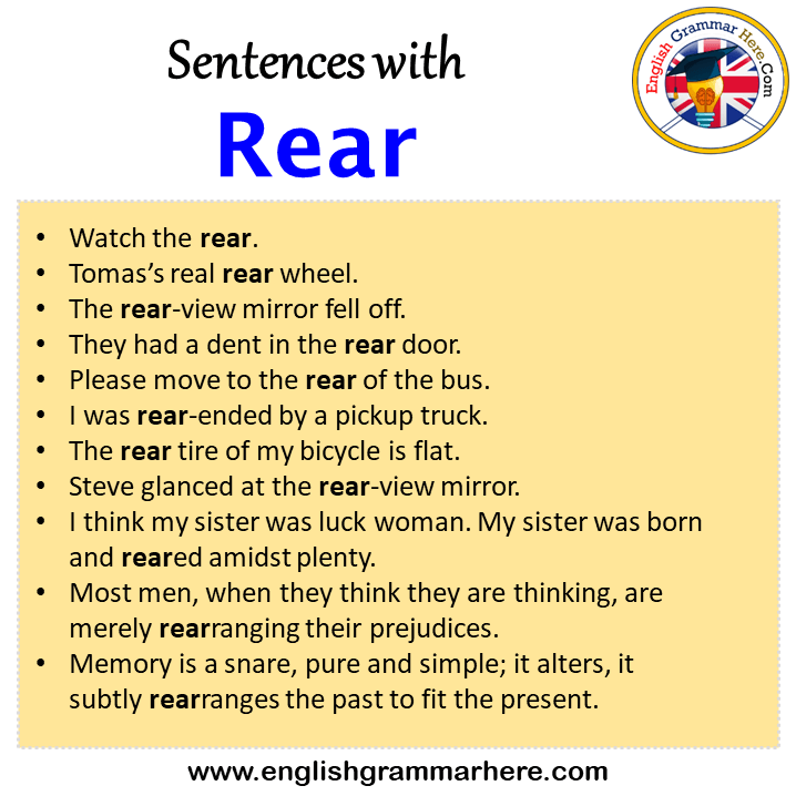 Sentences with Rear, Rear in a Sentence in English, Sentences For Rear